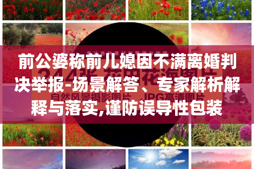 前公婆稱前兒媳因不滿離婚判決舉報(bào)-場(chǎng)景解答、專家解析解釋與落實(shí),謹(jǐn)防誤導(dǎo)性包裝