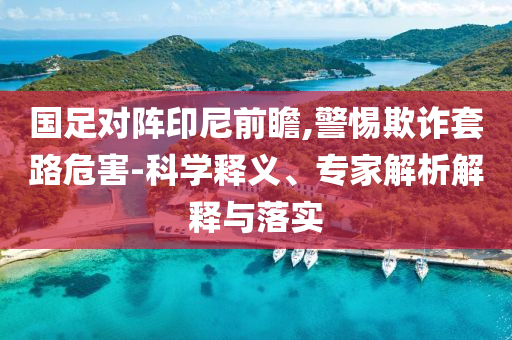 國(guó)足對(duì)陣印尼前瞻,警惕欺詐套路危害-科學(xué)釋義、專家解析解釋與落實(shí)