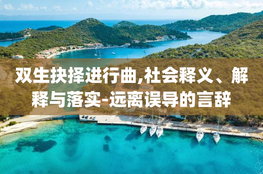雙生抉擇進(jìn)行曲,社會(huì)釋義、解釋與落實(shí)-遠(yuǎn)離誤導(dǎo)的言辭