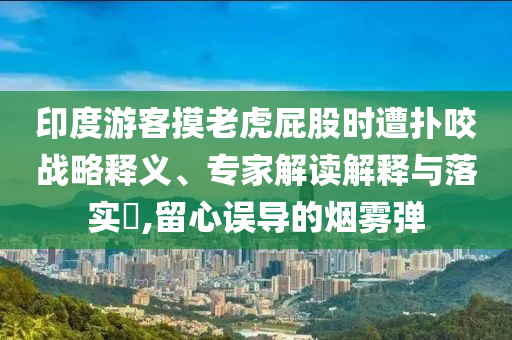 印度游客摸老虎屁股時(shí)遭撲咬戰(zhàn)略釋義、專家解讀解釋與落實(shí)?,留心誤導(dǎo)的煙霧彈