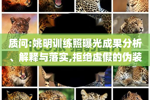 質(zhì)問:姚明訓練照曝光成果分析、解釋與落實,拒絕虛假的偽裝