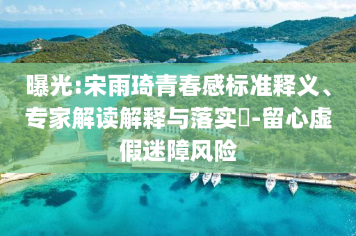 曝光:宋雨琦青春感標(biāo)準(zhǔn)釋義、專家解讀解釋與落實(shí)?-留心虛假迷障風(fēng)險(xiǎn)