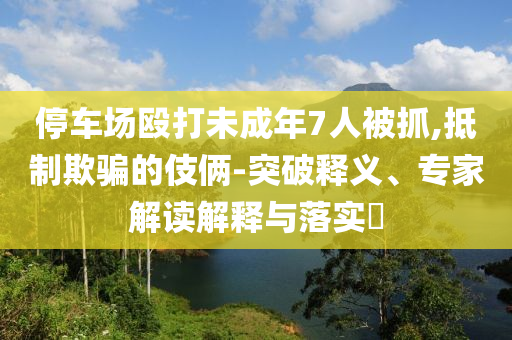 停車場毆打未成年7人被抓,抵制欺騙的伎倆-突破釋義、專家解讀解釋與落實?