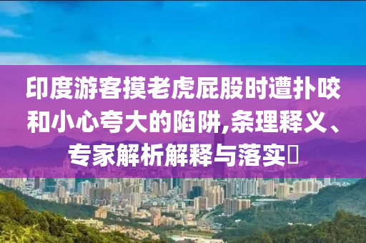 印度游客摸老虎屁股時(shí)遭撲咬和小心夸大的陷阱,條理釋義、專家解析解釋與落實(shí)?