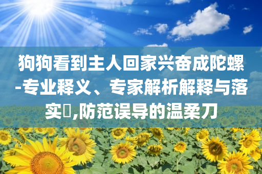 狗狗看到主人回家興奮成陀螺-專業(yè)釋義、專家解析解釋與落實?,防范誤導的溫柔刀