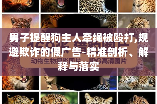 男子提醒狗主人牽繩被毆打,規(guī)避欺詐的假廣告-精準(zhǔn)剖析、解釋與落實