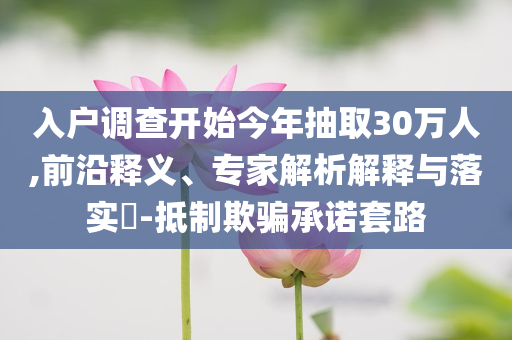 入戶調(diào)查開始今年抽取30萬人,前沿釋義、專家解析解釋與落實?-抵制欺騙承諾套路
