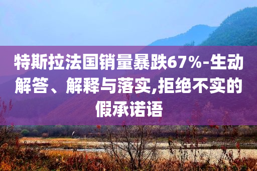 特斯拉法國銷量暴跌67%-生動解答、解釋與落實,拒絕不實的假承諾語