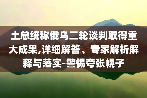 土總統(tǒng)稱俄烏二輪談判取得重大成果,詳細(xì)解答、專家解析解釋與落實(shí)-警惕夸張幌子