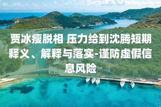 賈冰瘦脫相 壓力給到沈騰短期釋義、解釋與落實(shí)-謹(jǐn)防虛假信息風(fēng)險(xiǎn)