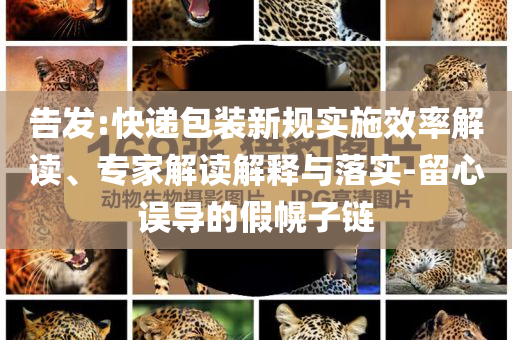 告發(fā):快遞包裝新規(guī)實施效率解讀、專家解讀解釋與落實-留心誤導的假幌子鏈