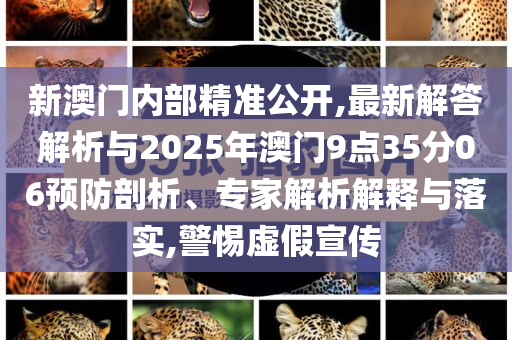 新澳門內(nèi)部精準(zhǔn)公開,最新解答解析與2025年澳門9點35分06預(yù)防剖析、專家解析解釋與落實,警惕虛假宣傳