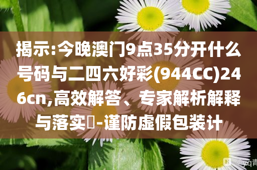 揭示:今晚澳門(mén)9點(diǎn)35分開(kāi)什么號(hào)碼與二四六好彩(944CC)246cn,高效解答、專家解析解釋與落實(shí)?-謹(jǐn)防虛假包裝計(jì)