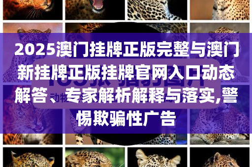 2025澳門掛牌正版完整與澳門新掛牌正版掛牌官網(wǎng)入口動(dòng)態(tài)解答、專家解析解釋與落實(shí),警惕欺騙性廣告