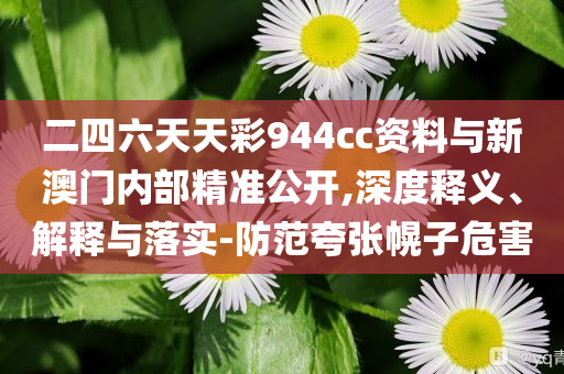 二四六天天彩944cc資料與新澳門(mén)內(nèi)部精準(zhǔn)公開(kāi),深度釋義、解釋與落實(shí)-防范夸張幌子危害
