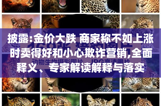 披露:金價大跌 商家稱不如上漲時賣得好和小心欺詐營銷,全面釋義、專家解讀解釋與落實