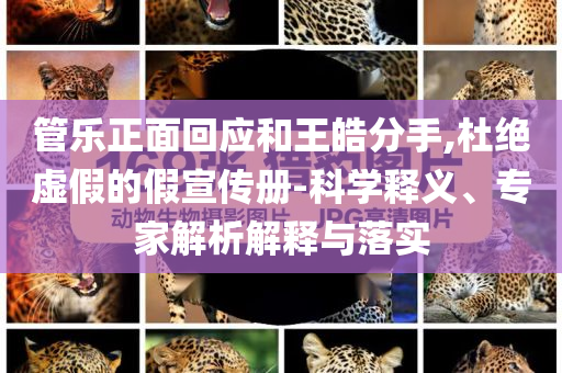管樂正面回應和王皓分手,杜絕虛假的假宣傳冊-科學釋義、專家解析解釋與落實