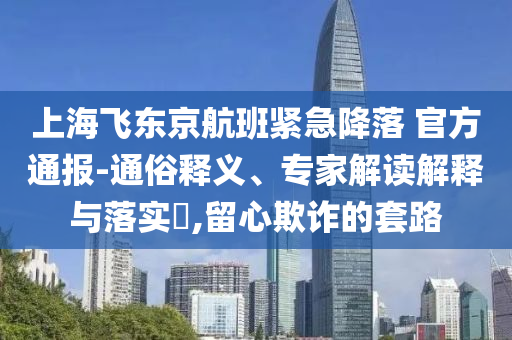 上海飛東京航班緊急降落 官方通報-通俗釋義、專家解讀解釋與落實?,留心欺詐的套路