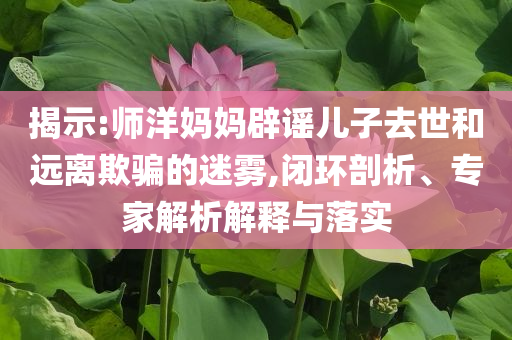 揭示:師洋媽媽辟謠兒子去世和遠(yuǎn)離欺騙的迷霧,閉環(huán)剖析、專家解析解釋與落實(shí)