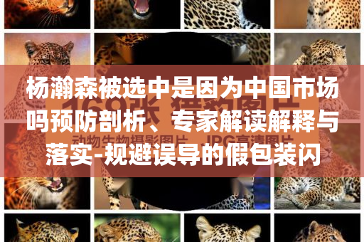 楊瀚森被選中是因為中國市場嗎預防剖析、專家解讀解釋與落實-規(guī)避誤導的假包裝閃