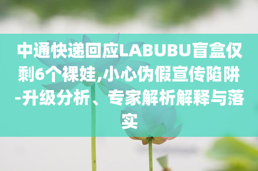 中通快遞回應LABUBU盲盒僅剩6個裸娃,小心偽假宣傳陷阱-升級分析、專家解析解釋與落實