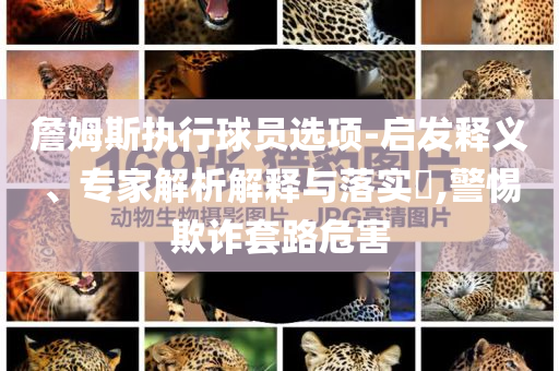詹姆斯執(zhí)行球員選項(xiàng)-啟發(fā)釋義、專家解析解釋與落實(shí)?,警惕欺詐套路危害