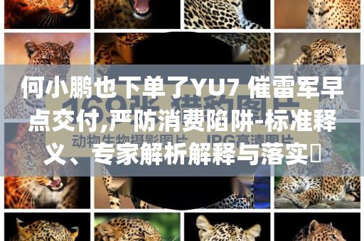 何小鵬也下單了YU7 催雷軍早點(diǎn)交付,嚴(yán)防消費(fèi)陷阱-標(biāo)準(zhǔn)釋義、專家解析解釋與落實(shí)?