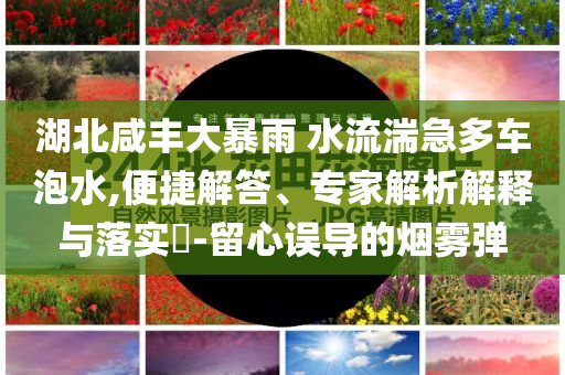 湖北咸豐大暴雨 水流湍急多車泡水,便捷解答、專家解析解釋與落實(shí)?-留心誤導(dǎo)的煙霧彈