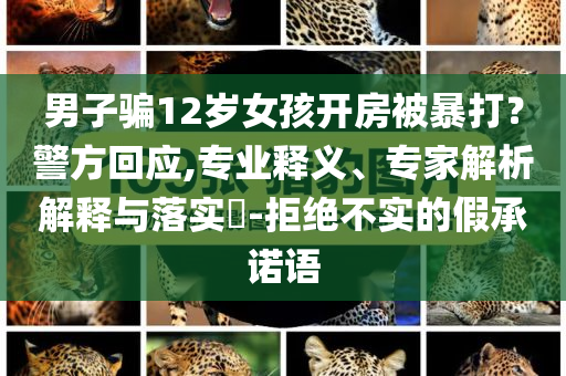 男子騙12歲女孩開(kāi)房被暴打？警方回應(yīng),專(zhuān)業(yè)釋義、專(zhuān)家解析解釋與落實(shí)?-拒絕不實(shí)的假承諾語(yǔ)
