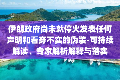 伊朗政府尚未就?；鸢l(fā)表任何聲明和看穿不實(shí)的偽裝-可持續(xù)解讀、專(zhuān)家解析解釋與落實(shí)