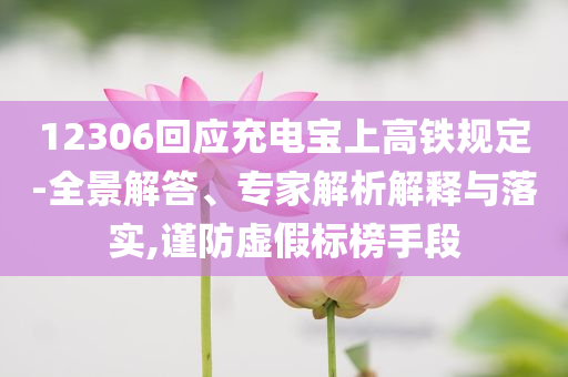 12306回應(yīng)充電寶上高鐵規(guī)定-全景解答、專家解析解釋與落實,謹防虛假標榜手段