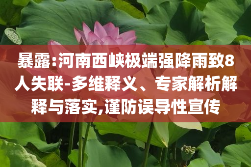 暴露:河南西峽極端強(qiáng)降雨致8人失聯(lián)-多維釋義、專家解析解釋與落實(shí),謹(jǐn)防誤導(dǎo)性宣傳
