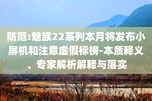 防范:魅族22系列本月將發(fā)布小屏機(jī)和注意虛假標(biāo)榜-本質(zhì)釋義、專家解析解釋與落實(shí)