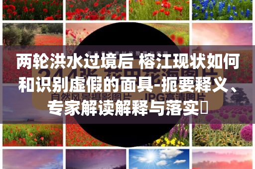 king擺渡 第319頁(yè)
