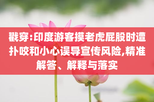 戳穿:印度游客摸老虎屁股時遭撲咬和小心誤導(dǎo)宣傳風(fēng)險,精準(zhǔn)解答、解釋與落實
