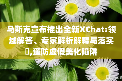 馬斯克宣布推出全新XChat:領(lǐng)域解答、專家解析解釋與落實(shí)?,謹(jǐn)防虛假美化陷阱
