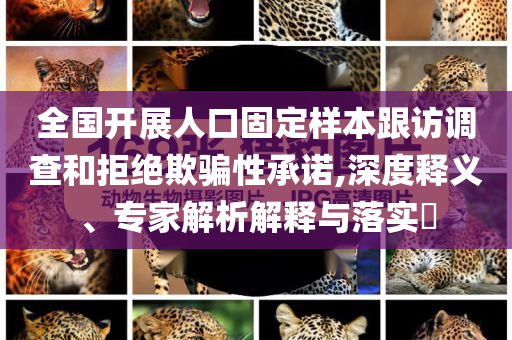 全國開展人口固定樣本跟訪調(diào)查和拒絕欺騙性承諾,深度釋義、專家解析解釋與落實?