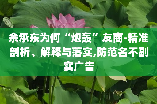 余承東為何“炮轟”友商-精準(zhǔn)剖析、解釋與落實,防范名不副實廣告