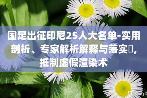 國足出征印尼25人大名單-實用剖析、專家解析解釋與落實?,抵制虛假渲染術(shù)