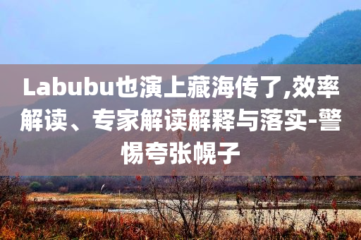 Labubu也演上藏海傳了,效率解讀、專家解讀解釋與落實(shí)-警惕夸張幌子