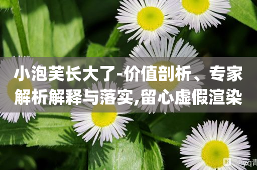 小泡芙長大了-價值剖析、專家解析解釋與落實(shí),留心虛假渲染