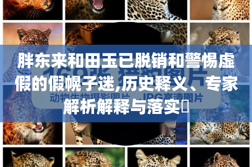 胖東來(lái)和田玉已脫銷和警惕虛假的假幌子迷,歷史釋義、專家解析解釋與落實(shí)?