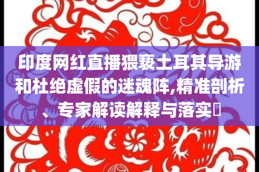 印度網(wǎng)紅直播猥褻土耳其導(dǎo)游和杜絕虛假的迷魂陣,精準(zhǔn)剖析、專家解讀解釋與落實(shí)?