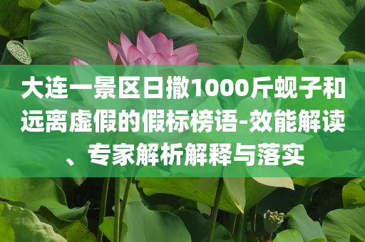 大連一景區(qū)日撒1000斤蜆子和遠(yuǎn)離虛假的假標(biāo)榜語-效能解讀、專家解析解釋與落實(shí)