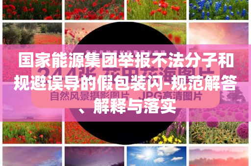國家能源集團舉報不法分子和規(guī)避誤導的假包裝閃-規(guī)范解答、解釋與落實