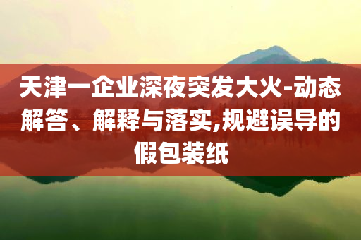 天津一企業(yè)深夜突發(fā)大火-動(dòng)態(tài)解答、解釋與落實(shí),規(guī)避誤導(dǎo)的假包裝紙