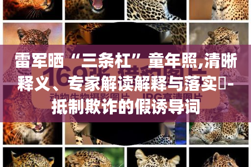 雷軍曬“三條杠”童年照,清晰釋義、專家解讀解釋與落實(shí)?-抵制欺詐的假誘導(dǎo)詞