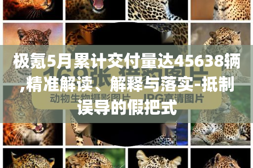 極氪5月累計(jì)交付量達(dá)45638輛,精準(zhǔn)解讀、解釋與落實(shí)-抵制誤導(dǎo)的假把式