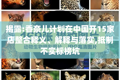 揭露:香奈兒計劃在中國開15家店整合釋義、解釋與落實,抵制不實標(biāo)榜坑