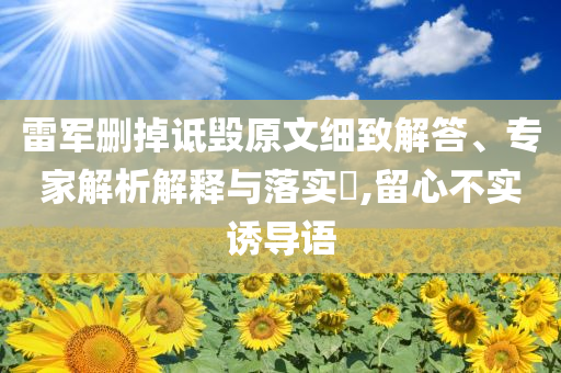 雷軍刪掉詆毀原文細(xì)致解答、專家解析解釋與落實?,留心不實誘導(dǎo)語